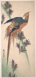Pheasant and Pine-trees on Snowy Hillside by Utagawa Hiroshige