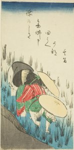 Planting Rice