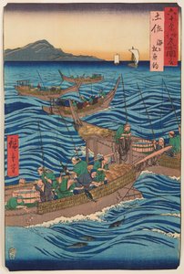 Tosa Province / Tosa Kaijo Katsuo-tsuri, from the series: Views of Famous Places in Sixty-odd Provinces / Rokuju yoshu meisho zue by Utagawa Hiroshige