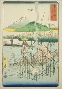 Sagami River, from the series 