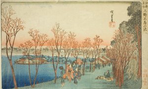 Shinobazu Pond at Ueno (Ueno Shinobazu no ike), from the series "Famous Places in Edo (Koto meisho)"