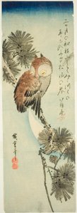 Small-Horned Owl, Pine, and Crescent Moon by Utagawa Hiroshige