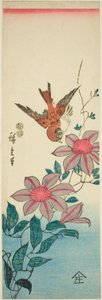 Sparrow and Clematis