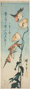 Sparrows and Poppies