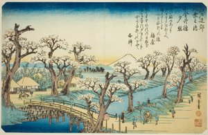 Sunset Glow at Koganei Bridge, from the series 