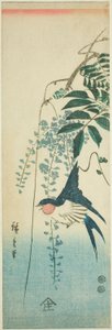 Swallow and Wisteria
