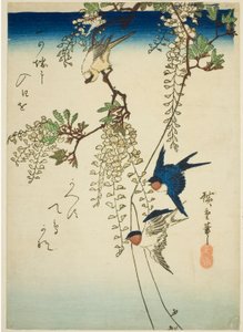 Swallow, Yellow Bird, and Wisteria