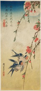 Swallows, Peach Blossoms, and Full Moon