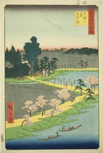 The Entwined Camphor Trees at Azuma Shrine (from the series One Hundred Famous Views of Edo)