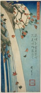 The Moon Seen Through Leaves, from the series "Twenty-eight Views of the Moon"