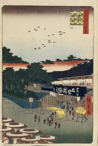 Ueno Yamashita One Hundred Famous Views of Edo