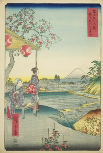View of Mount Fuji from a Teahouse at Zoshigaya, from the series "Thirty-six Views of Mount Fuji" by Utagawa Hiroshige