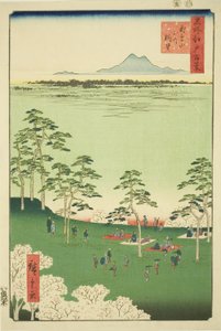 View to the North from Asuka Hill, from the series 