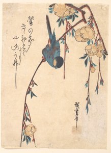 Weeping Cherry by Utagawa Hiroshige