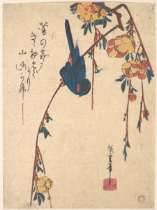 Weeping Cherry and Bluebird by Utagawa Hiroshige