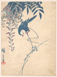 Wisteria and White-headed Bird by Utagawa Hiroshige