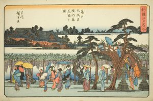 Wisteria in Full Bloom in the Precincts of the Kameido Tenmangu Shrine, from the series 