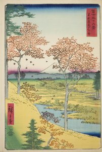 Yuhi Hill at Meguro in the Eastern Capital, from the series 