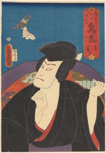 Hawk, Goemon (A collection of birds)