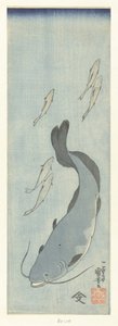 Catfish and Five Trout