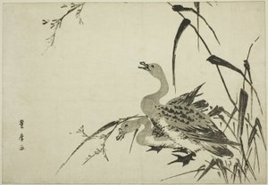 Wild Geese and Reeds