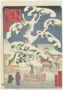Rennyo-Pine Tree at Miyanomori, 19th century