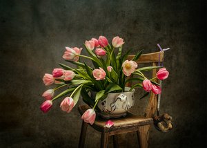 Elegant Pink Tulips by Vadim Kulinsky