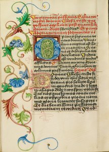 Decorated Initial O