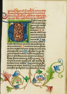 Decorated Initial V