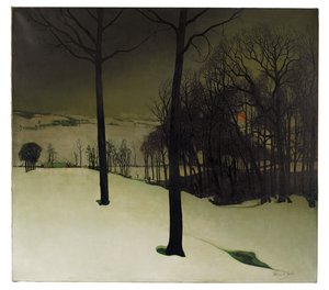 Forest in the Winter