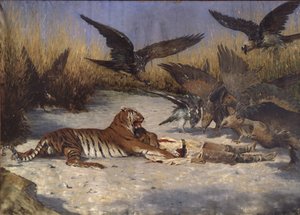A Man-eater