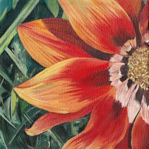 Vibrant Orange Bloom