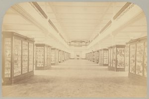 Pl. III. Principal Story: Birds by Victor Prevost, Gaston L. Feuardent and Co., New York