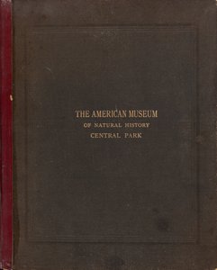 The Photographic Album of the American Museum of Natural History, Central Park, New York City