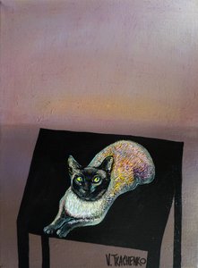 Siamese Cat Stretch