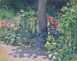 Study of Poppies in the Garden by Viktor Elpidiforovich Borisov Musatov
