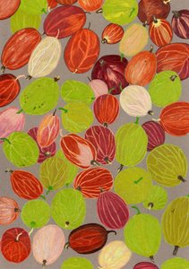Colorful Gooseberries