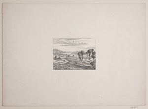 Landscape from the Himmelbjerge Region