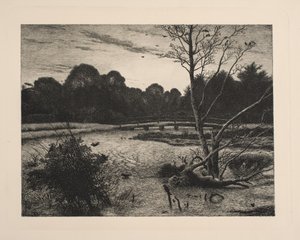 Sunset in a Forest by Vilhelm Kyhn