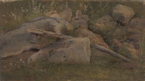 Study of a Stone Heap