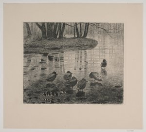 Ducks by Vilhelm Th. Fischer