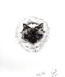 Baby Ball by Vincent Alexander Booth