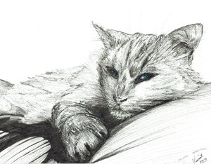 Monty, Napping
