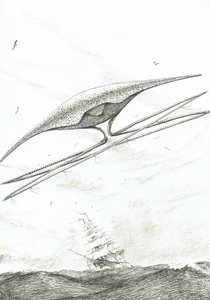 Storm Creators Foxe Basin, 2022 by Vincent Alexander Booth