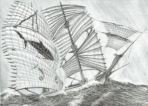 Storm Creators Savu Sea, 2017