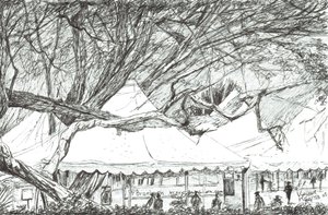 Wedding tents at Lake Navaisha Kenya, 2003 by Vincent Alexander Booth