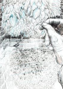 page43, The Castle in the Forest of Findhorn, 2006