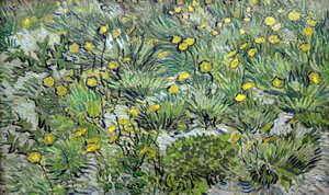 Dandelions, 1889