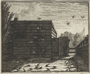 Man Behind a Fence by a Bird Trap