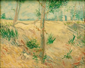 Tree Trunks in Sunlight by Vincent van Gogh